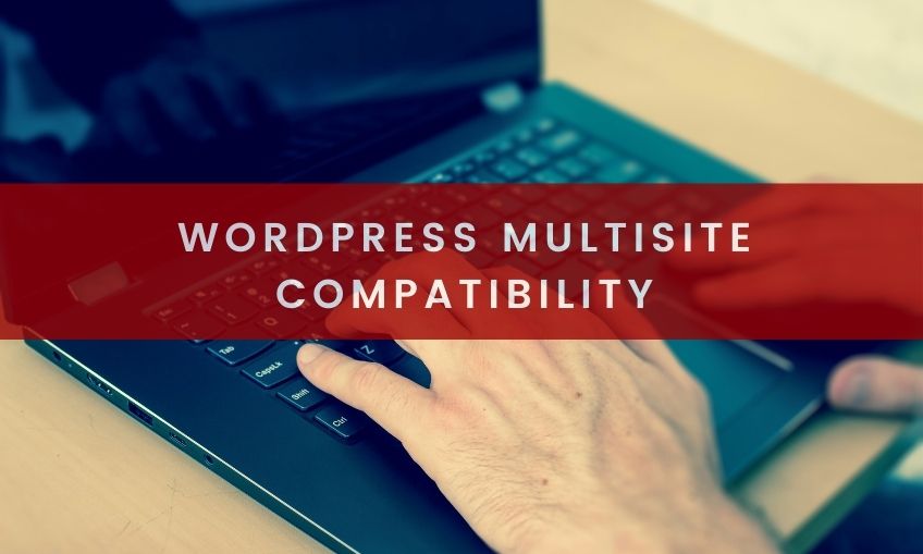 WordPress Multisite Compatibility