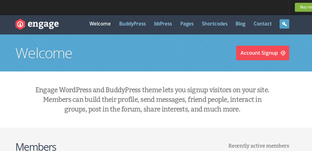 Great BuddyPress WordPress Themes