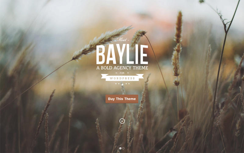 Baylie-WordPress-Theme1