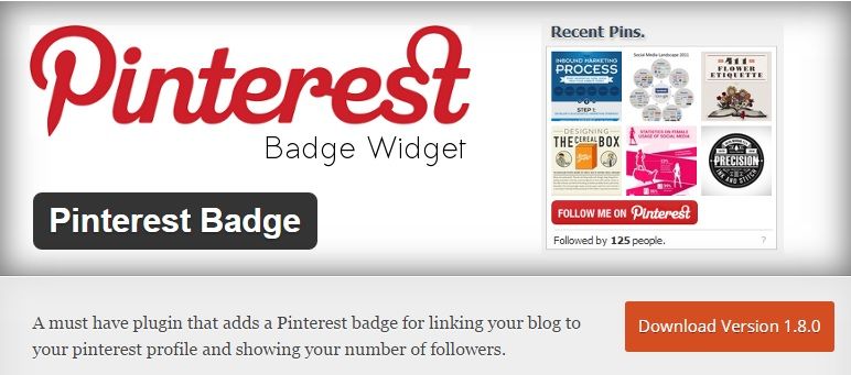 Pinterest Badge Widget