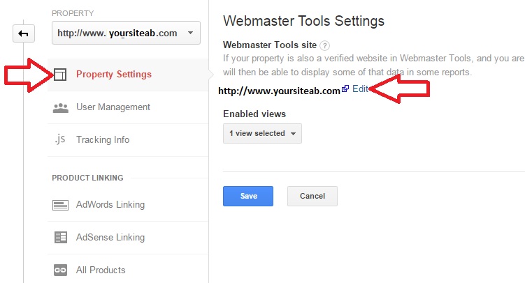 Webmaster Tools Settings