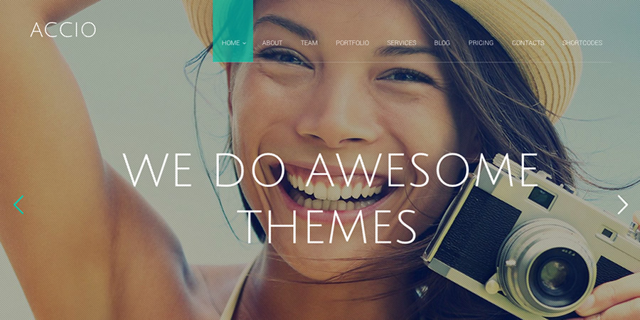 Best One Page WordPress Themes | Accio