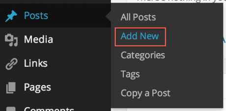 Difference between Posts and Pages in WordPress - Posts in WordPress