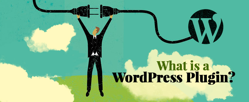 what is a wordpress plugin