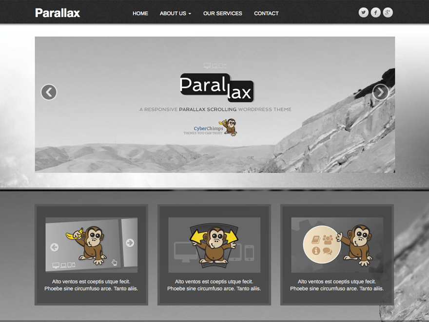 WordPress themes for effective content marketing - parallax