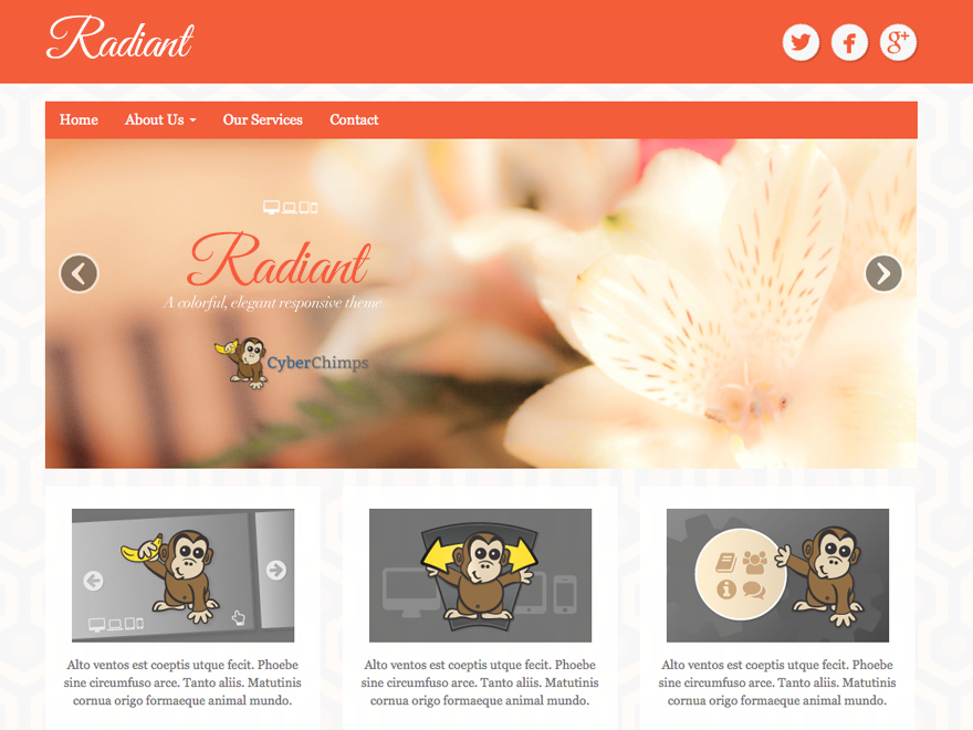 wordpress themes for effective content marketing - radiant free