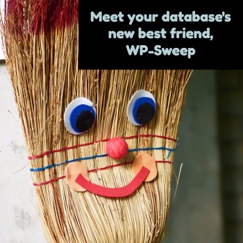 database cleaner wp sweep