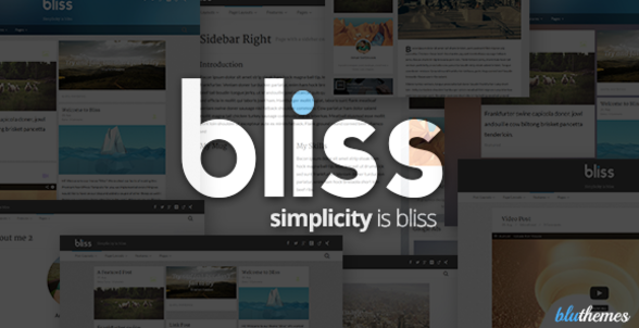 best personal blog wordpress themes - bliss