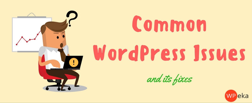 common wordpress issues