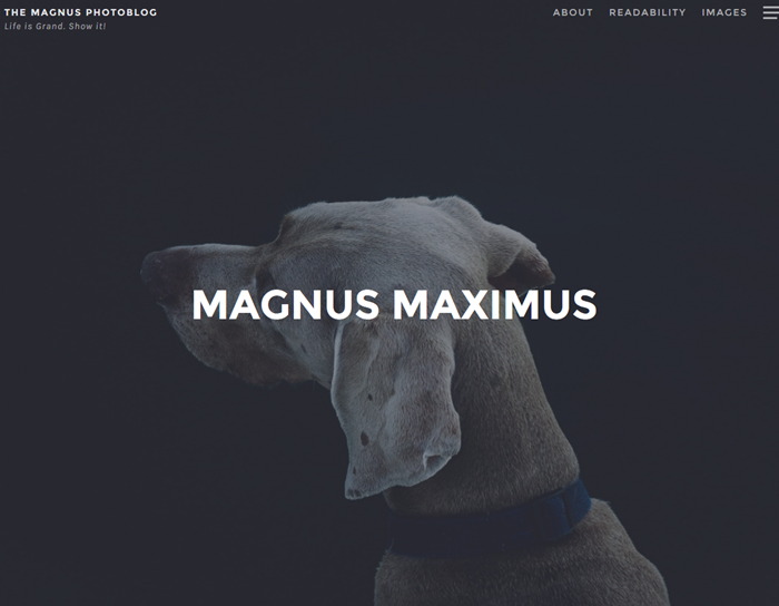 magnus free wordpress theme