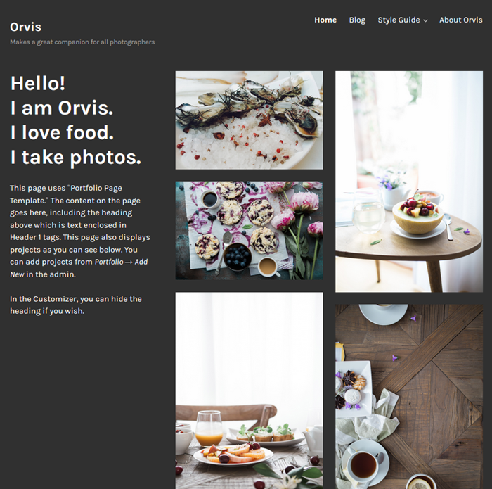 orvis wordpress theme for artists