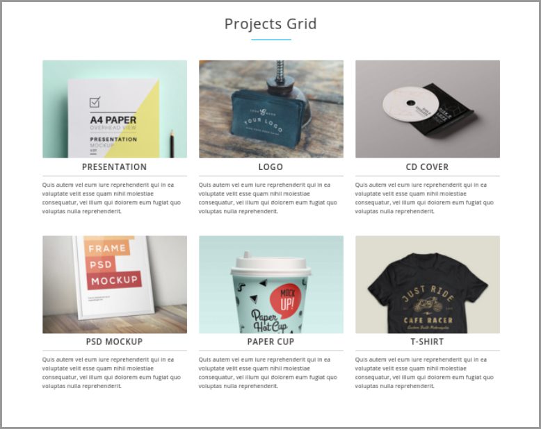 project grid