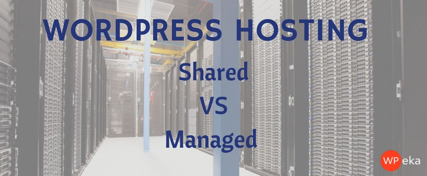 Shared vs Managed WordPress Hosting- Which one is better