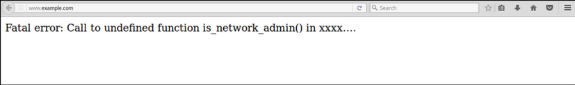 Fatal error undefined function is_network_admin()