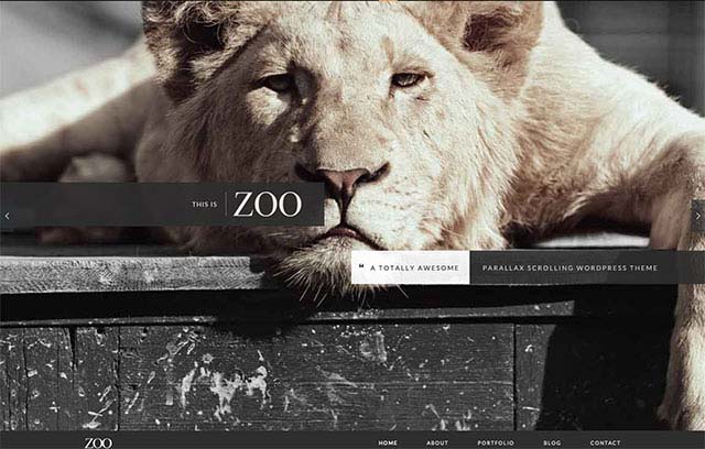 Parallax Scrolling WordPress Themes | Zoo