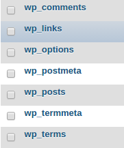 wp options table