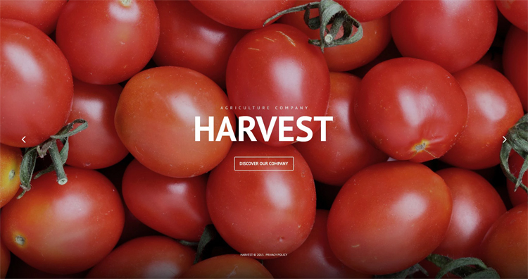 Agriculture Company WordPress Theme