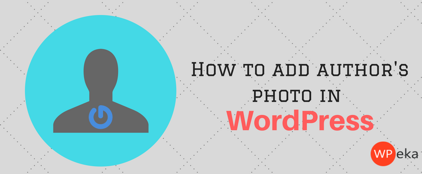 How to add authors photo in WordPress