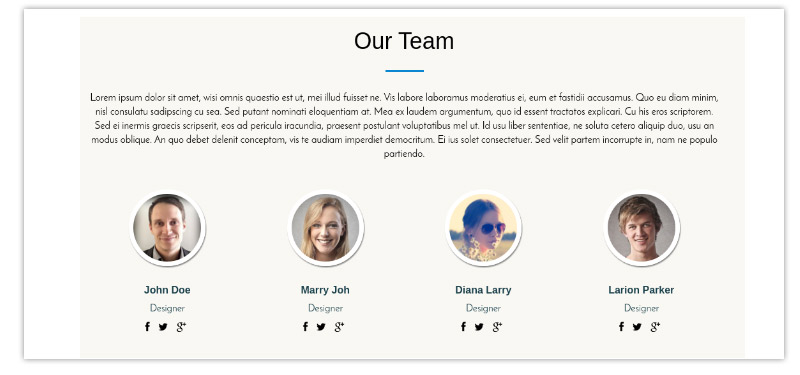 Team Section - One Page Business Pro