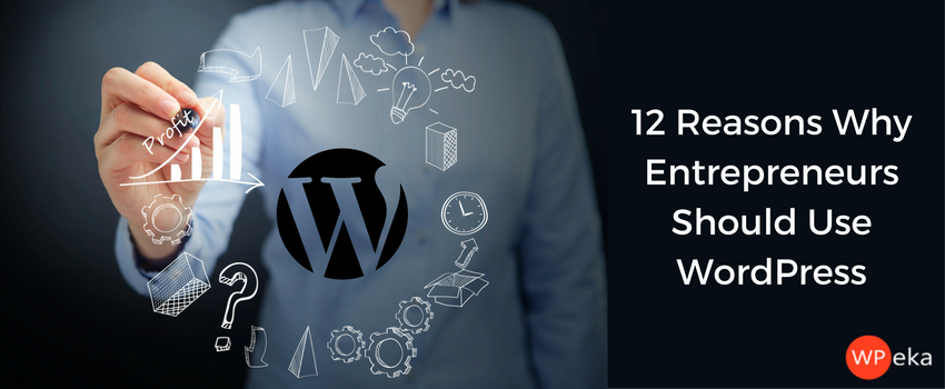 12 Reasons Why Entrepreneurs Should Use WordPress