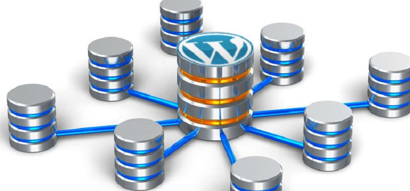 WordPress-and-database-integration
