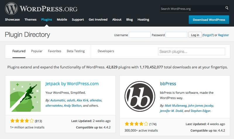 Starting WordPress Website