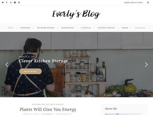 Lifestyle WordPress Blog Themes