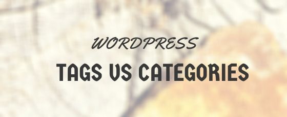 WordPress Tags Vs Categories