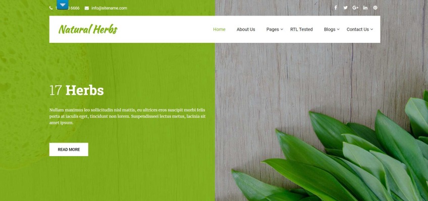 Natural Herbs Lite- Organic WordPress theme