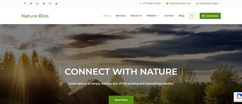 Nature Bliss- free Organic store WordPress theme