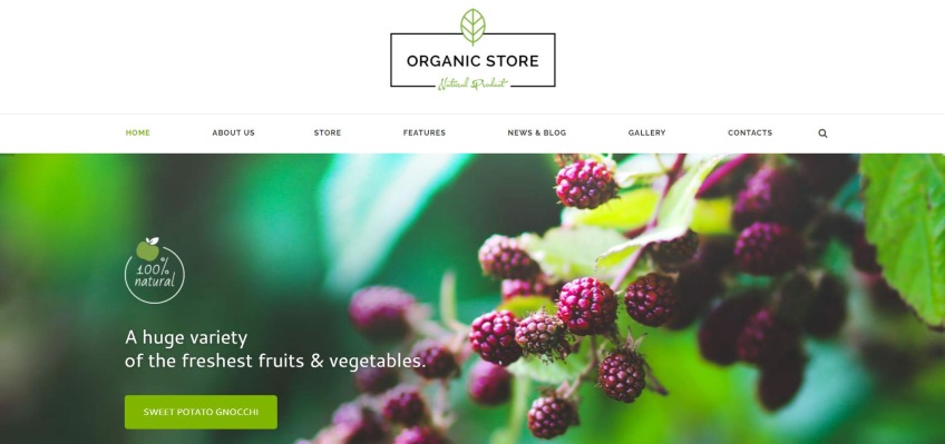 Organic Store – Eco Products Shop WordPress Theme