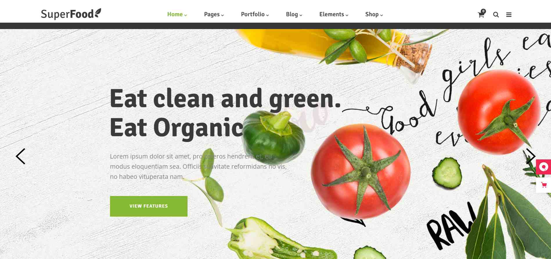Superfood-Organic Store WordPress Theme