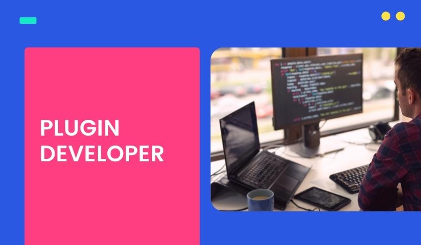 Plugin developer