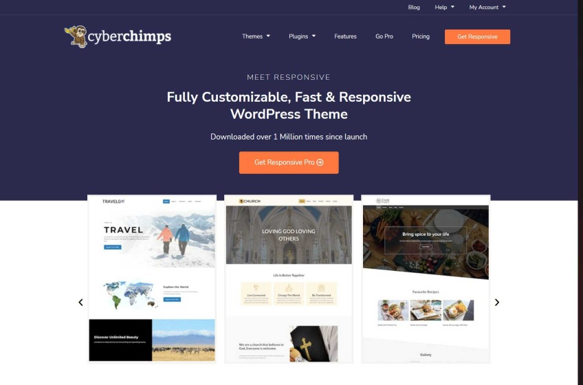 Premium Responsive WordPress Themes & Templates -CyberChimps